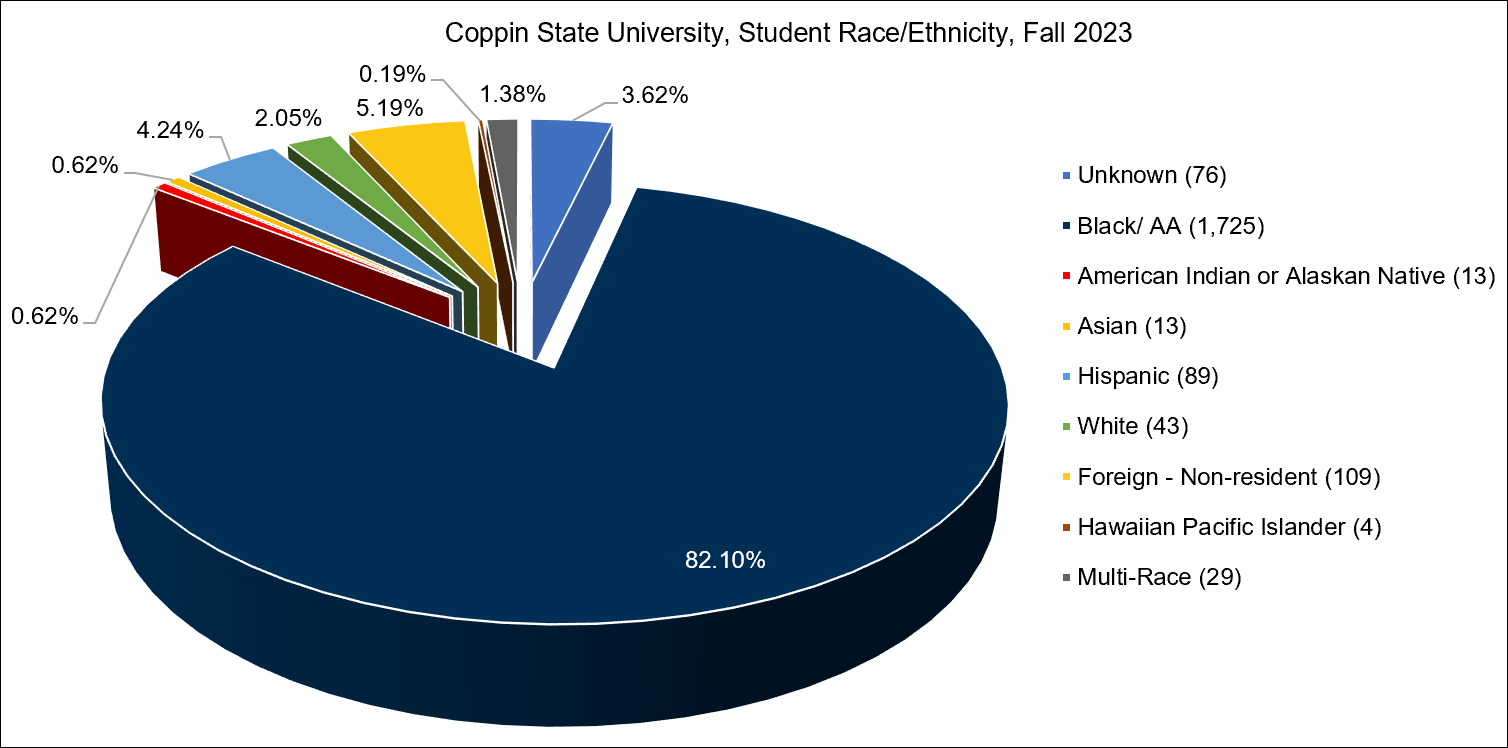 student race and ethnicity fall 23