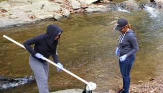 Student researchers in the Laboratory for Environmental Contaminants